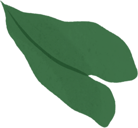 Samaan muotokuvaan tulee näkyviin piirretty MacBook Air, jonka näytöltä leijailee vihreitä lehtiä.