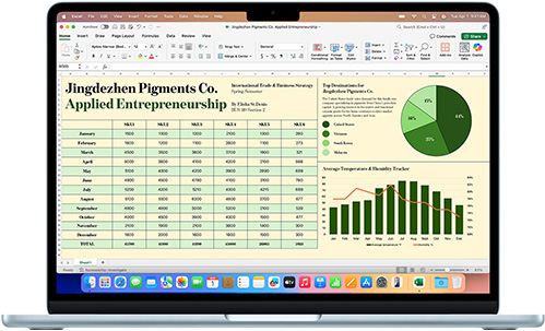 Microsoft Excel app shown on a MacBook Air