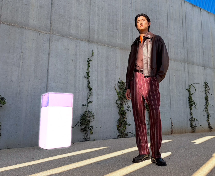 Apple Intelligence-værktøjet Visk ud markerer en ting i baggrunden af et billede